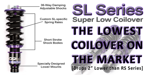 D2 Racing SL Series (Super Low) Coilovers -  Acura Integra DC (1994-2001)