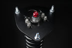 Annex Suspension Coilover Adjuster Knobs - Pair