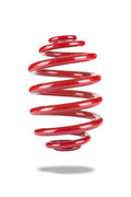 Pedders Sports Ryder Rear Spring - Pontiac GTO Low (2004-2006)