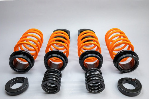 MSS Track Fully Adjustable Spring Kit - Tesla Model Y