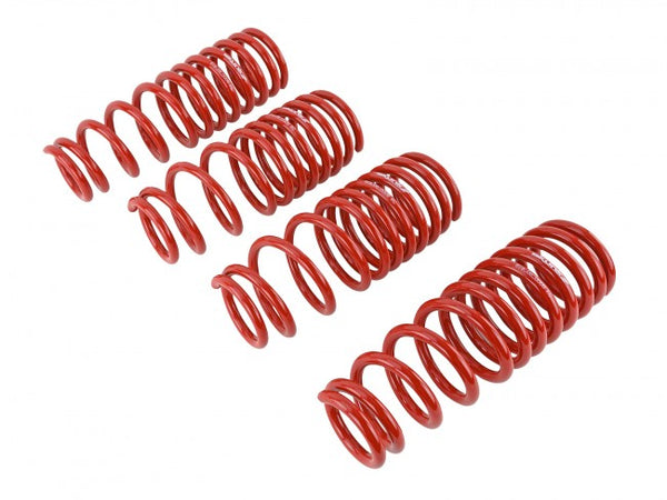 Skunk2 Performance Lowering Springs - Honda Civic (1992-1995) & Del Sol (1993-1997)