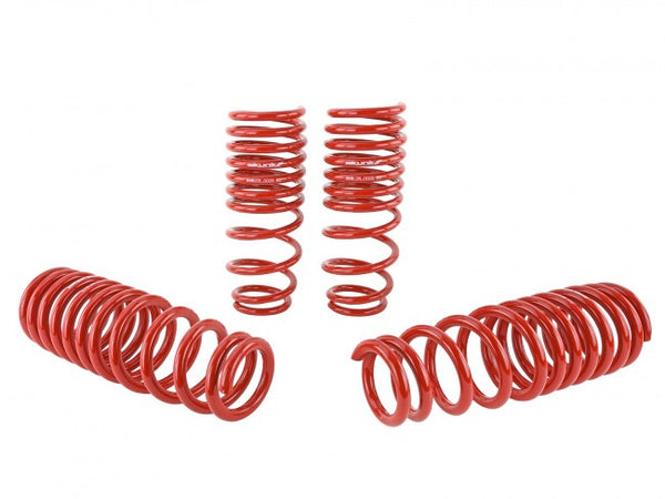 Skunk2 Performance Lowering Springs - Honda Civic (1992-1995) & Del Sol (1993-1997)