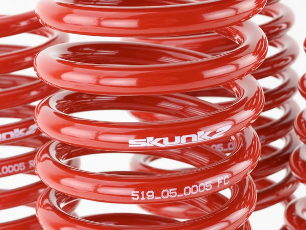 Skunk2 Performance Lowering Springs - Honda Civic (1992-1995) & Del Sol (1993-1997)