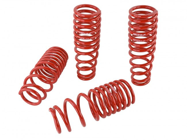Skunk2 Performance Lowering Springs - Acura Integra DC (1994-2001)