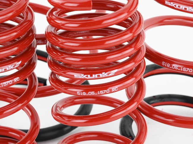 Skunk2 Performance Lowering Springs - Honda Civic & Si (2001-2005)