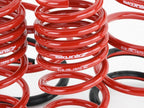 Skunk2 Performance Lowering Springs - Honda Civic & Si (2001-2005)