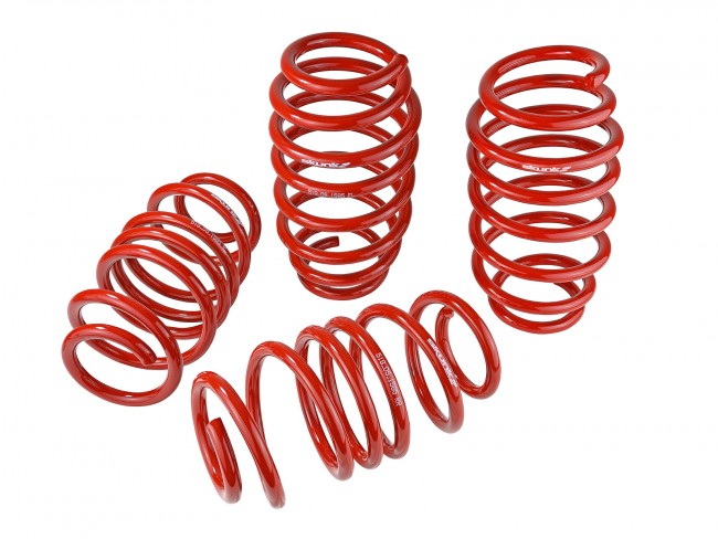 Skunk2 Racing Lowering Springs - Honda Civic 2012-2015