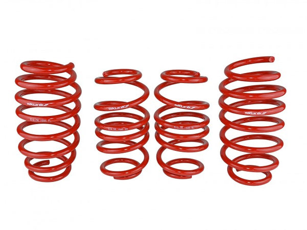 Skunk2 Racing Lowering Springs - Honda Civic 2012-2015