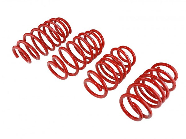 Skunk2 Racing Lowering Springs - Honda Civic 2012-2015