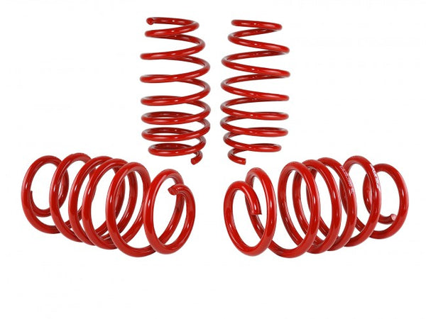 Skunk2 Racing Lowering Springs - Honda Civic 2012-2015