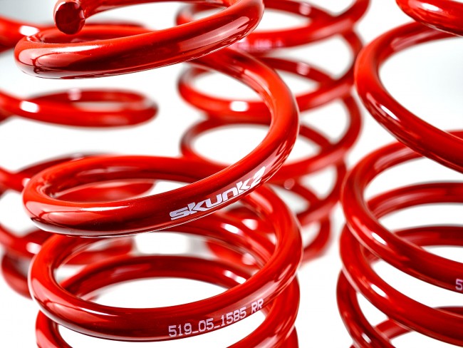 Skunk2 Racing Lowering Springs - Honda Civic 2012-2015