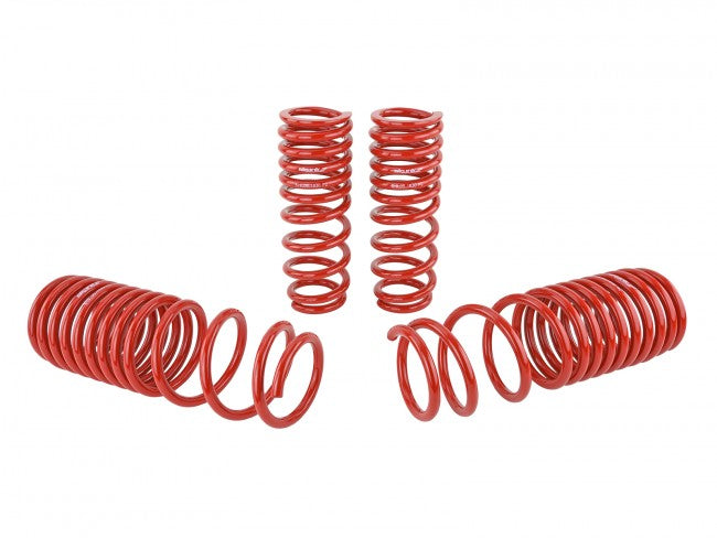 Skunk2 Performance Lowering Springs - Honda Accord (1990-1997)