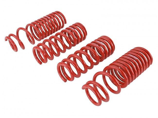Skunk2 Performance Lowering Springs - Acura Integra DC (1994-2001)