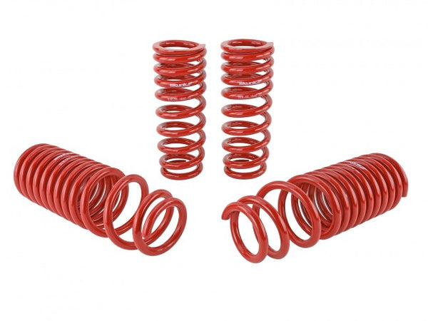 Skunk2 Performance Lowering Springs - Acura Integra DC (1994-2001)