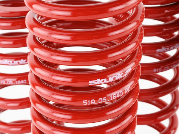 Skunk2 Performance Lowering Springs - Acura Integra DC (1994-2001)