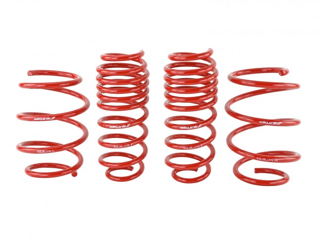Skunk2 Performance Lowering Springs - Honda Civic & Si (2016-2021)