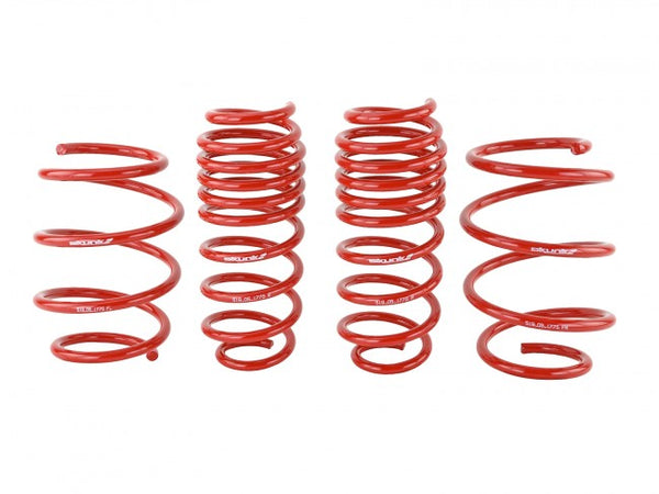 Skunk2 Performance Lowering Springs - Honda Civic & Si (2016-2021)