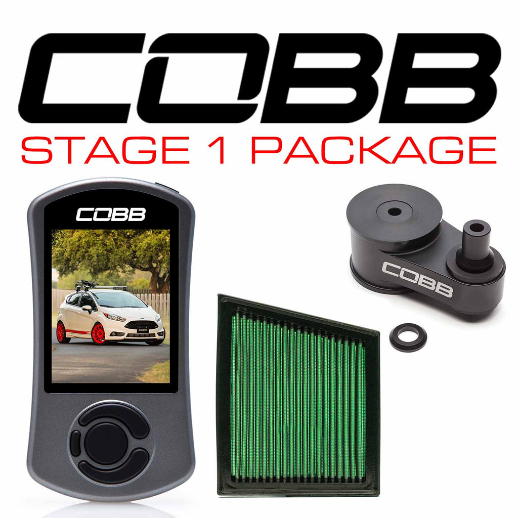 COBB Ford Redline Carbon Fiber Intake System Fiesta ST 2014-2019 image 13