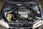 HPS Performance Cold Air Intake Kit (Red) - Honda Accord DX EX LX VP SE - (1998-2002)