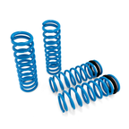 BLOX Racing Lowering Springs - 1992-1995 Civic/1992-1997 Del Sol