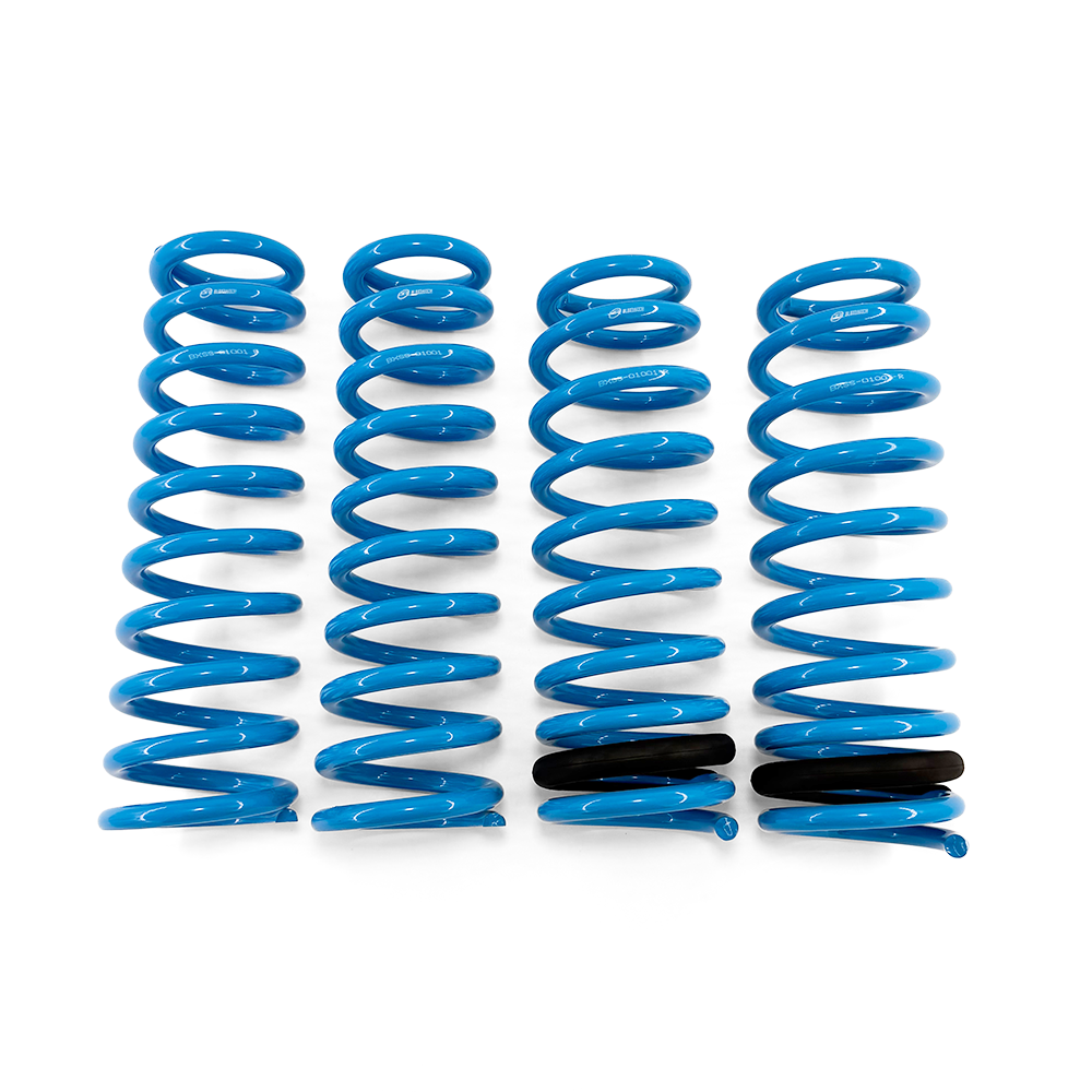 BLOX Racing Lowering Springs - 1992-1995 Civic/1992-1997 Del Sol