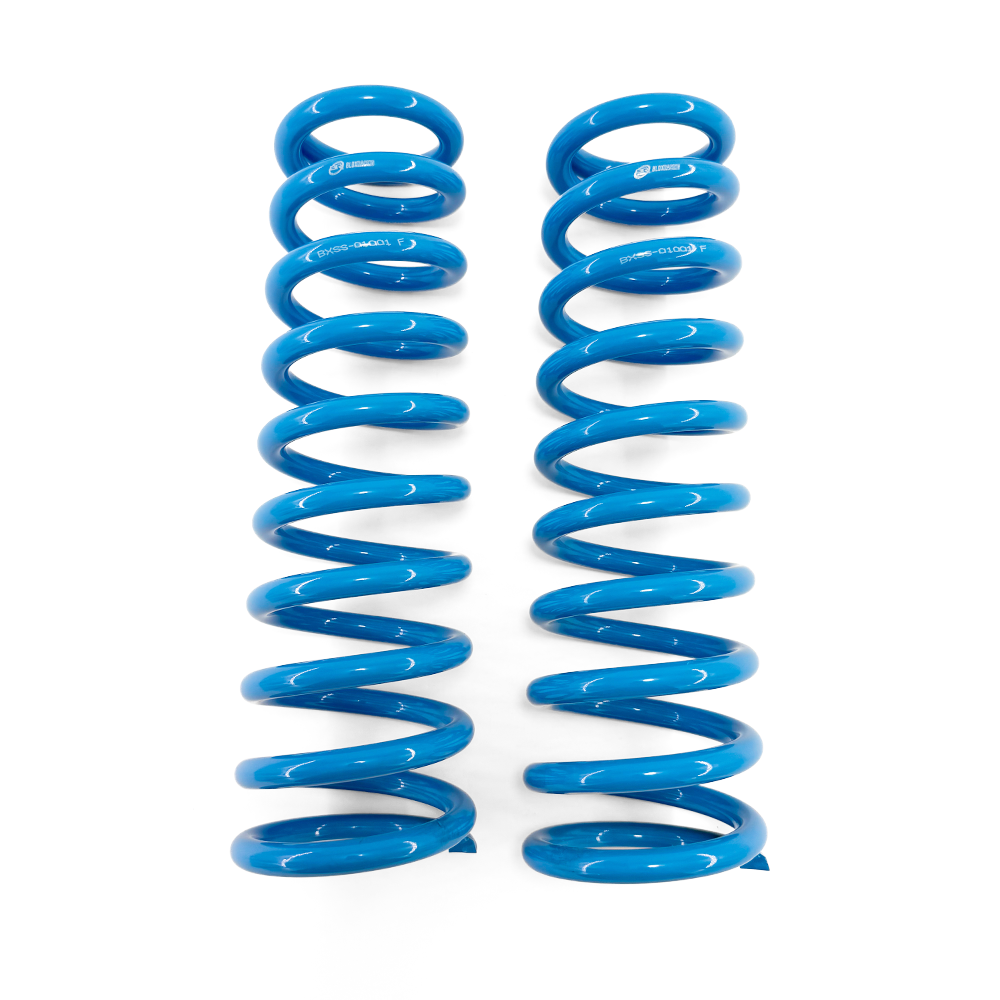 BLOX Racing Lowering Springs - 1992-1995 Civic/1992-1997 Del Sol