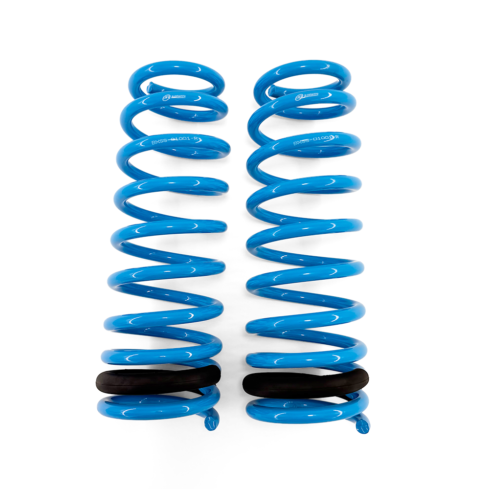 BLOX Racing Lowering Springs - 1992-1995 Civic/1992-1997 Del Sol