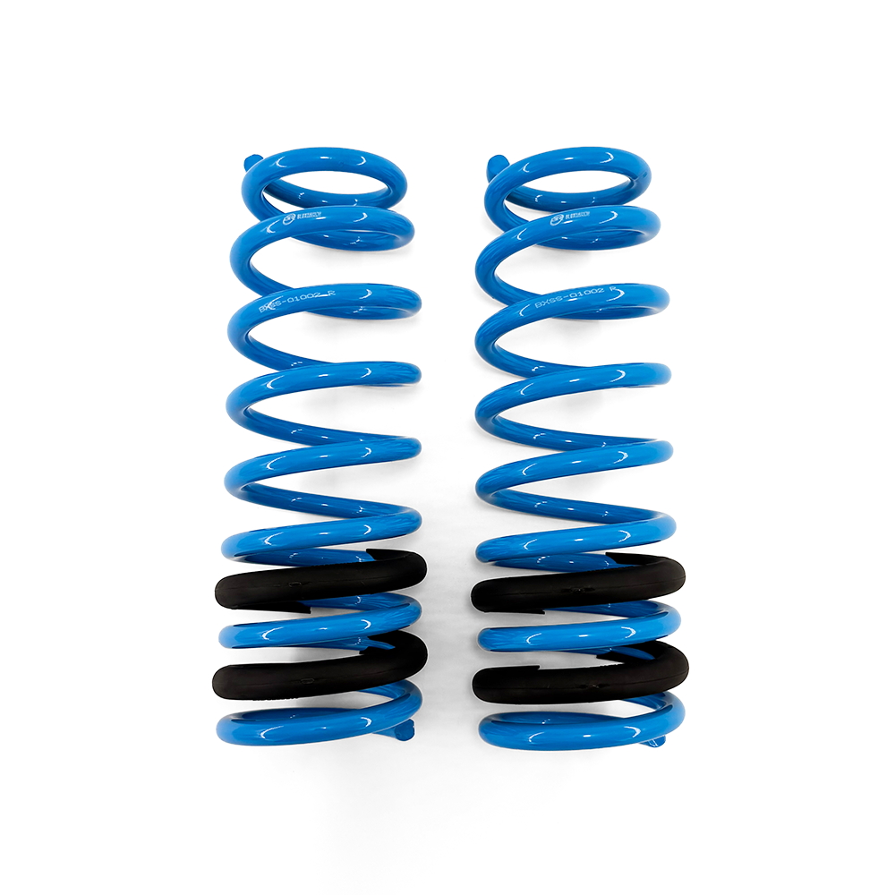 BLOX Racing Lowering Springs - 1996-2000 Civic