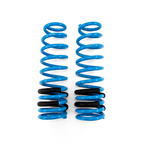 BLOX Racing Lowering Springs - 1996-2000 Civic