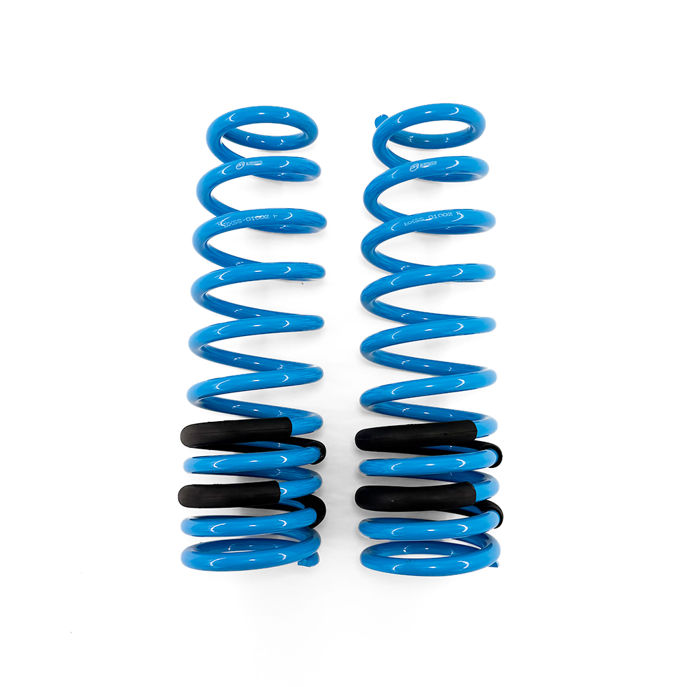 BLOX Racing Lowering Springs - 1996-2000 Civic