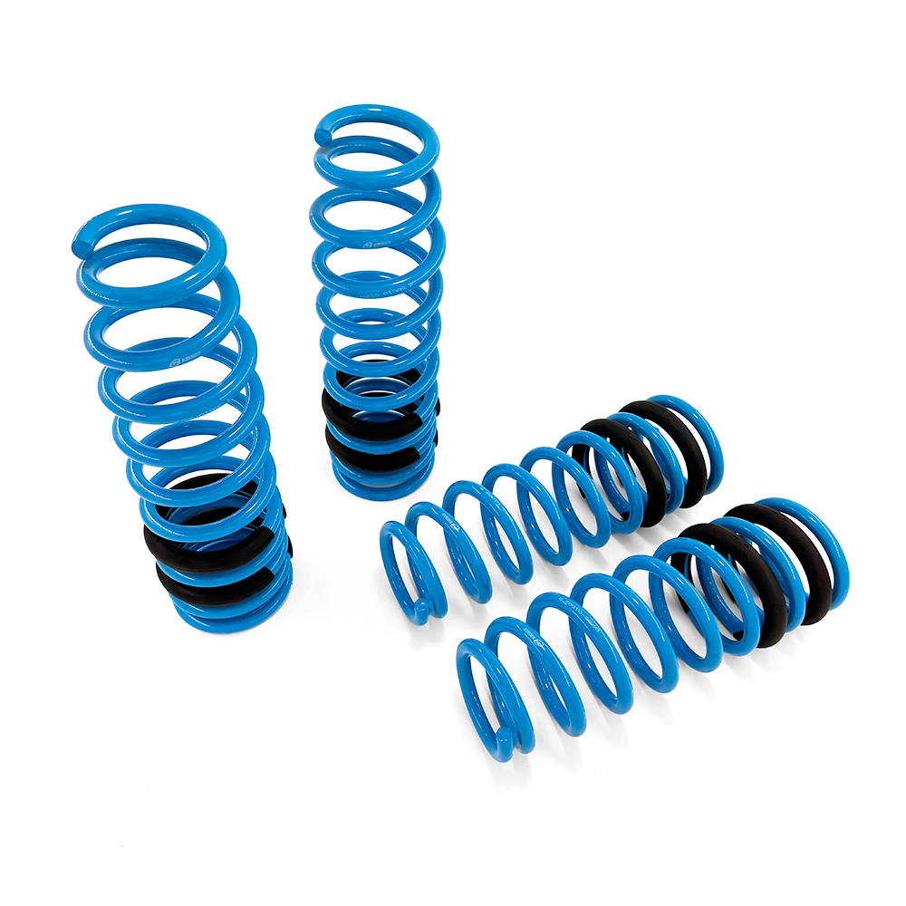 BLOX Racing Lowering Springs - 1996-2000 Civic