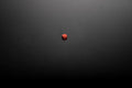 RIA-KNOBCAP - Riaction Damping Knob Cap - Product image