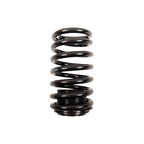 FD-016-LT - Riaction GT-1 Linear Coilovers - Ford Mustang SN95 4th (1993-2004) - View 4