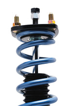 S3 Suspension Coilovers - Lexus GS300/GS400/GS430 (1998-2005)