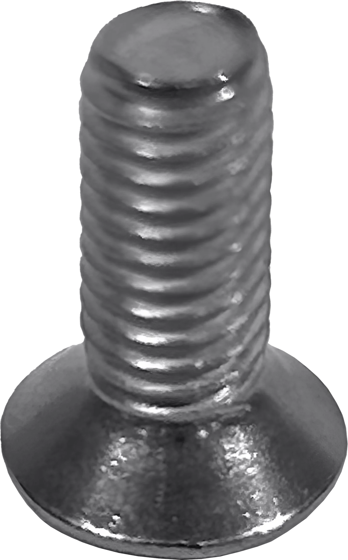 Boundary Stainless Torx Oil Pump Screws — SCREWS-M61X16 — detail 1