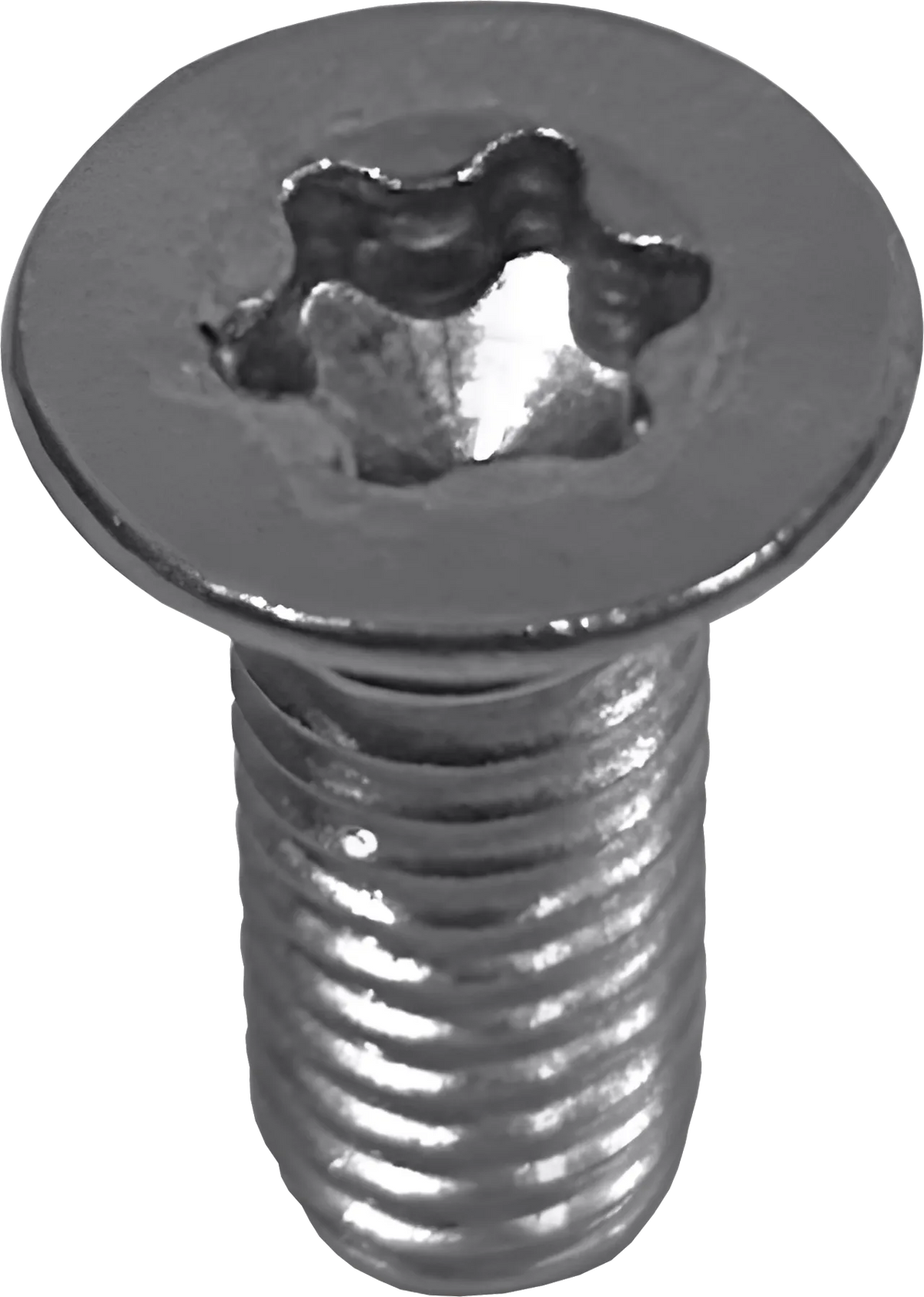 Boundary Stainless Torx Oil Pump Screws — SCREWS-M61X16 — detail 2