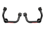 Eibach PRO-ALIGNMENT Upper Camber Control Arms Set - Ford F-150 (2004-2008)