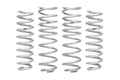 Eibach PRO-LIFT-KIT Lift Springs - Ram 1500 V8 2WD (2019-2024)