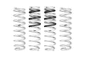Eibach PRO-LIFT-KIT Lift Springs - Ford Bronco ANY MODEL W/ HOSS (2021-2026)