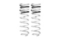 Eibach PRO-LIFT-KIT HD Rear Springs Set - Ford F-150 Raptor (2021+)
