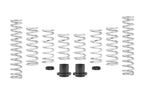 Eibach PRO-UTV Stage 1 Spring Kit - Polaris RZR XP 4 1000 EPS (2014-2016) - Walker Evans