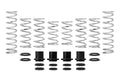 Eibach PRO-UTV Stage 3 Spring Kit - Polaris RZR XP 4 Turbo EPS (2017) - Fox