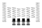 Eibach PRO-UTV Stage 2 Spring Kit - Polaris RZR XP Turbo (2018-2019) - Fox Dynamix