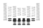 Eibach PRO-UTV Stage 4 Spring Kit - Polaris RZR XP 4 Turbo S (2019) - Fox Dynamix