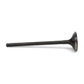 High Compression 35mm Intake Valve Set - K - Series DOHC iVTEC / K20A - K24A - BLOX Racing