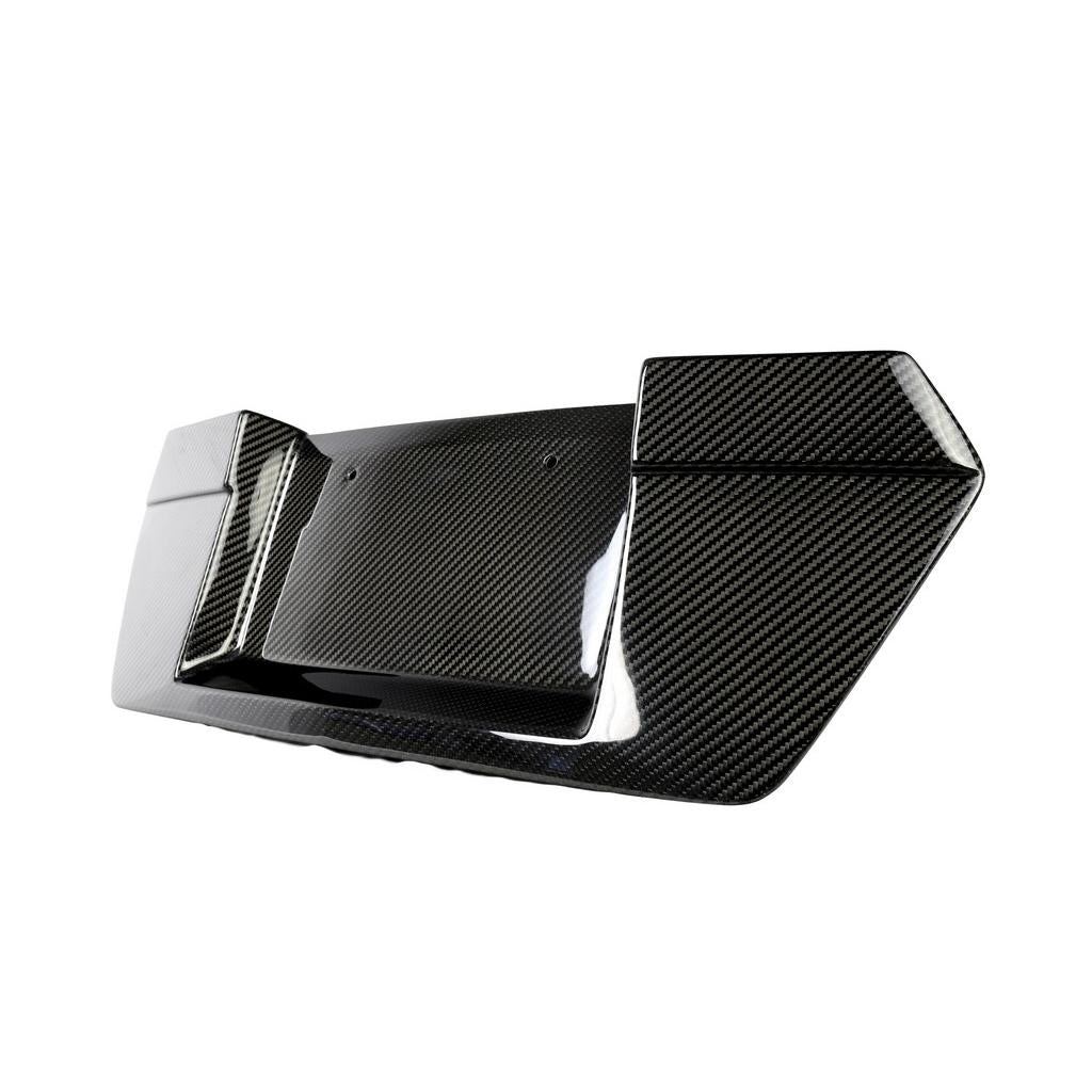 APR Performance Carbon Fiber License Plate Frame Backing - Chevrolet Corvette C8 (2020+)