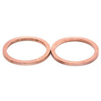 Inlet Crusher Washers - 2-Pack - BLOX Racing