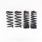 RS-R Performance Down Sus Lowering Springs Set - Lexus IS300 IS350 AWD (2021+)