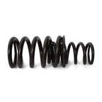 Valve Springs - F - Series DOHC VTEC - BLOX Racing
