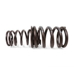 Valve Springs - H - Series DOHC VTEC - BLOX Racing